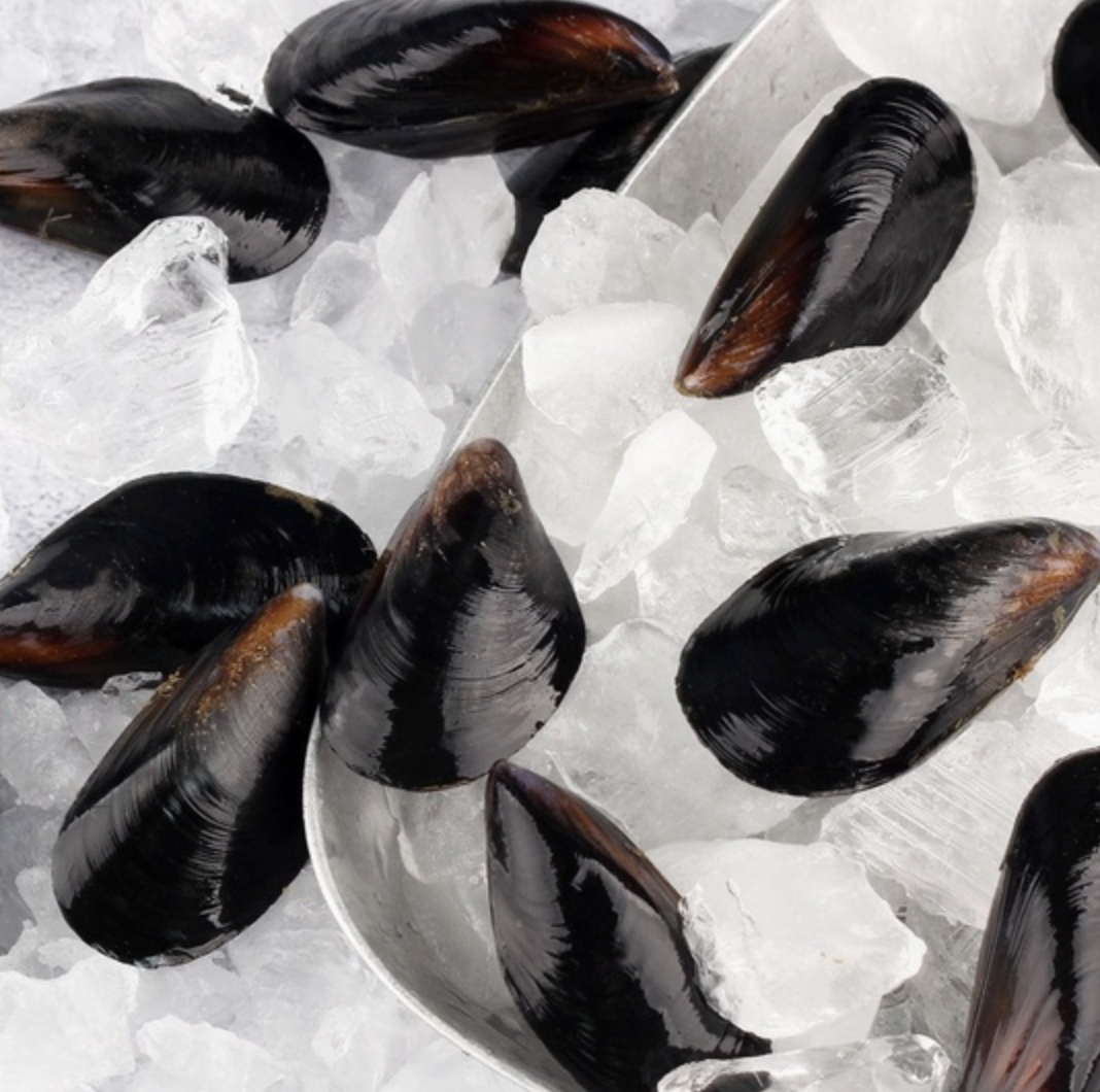 당일조업 손질 세척 홍합 5kg