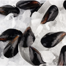 당일조업 손질 세척 홍합 5kg