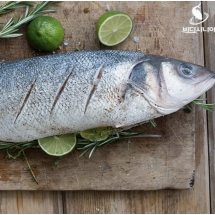 대표 보양식 농어 회 680g 손질 필렛 특상품 농어회 신선포장 [원산지:중국]