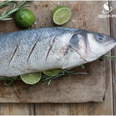 대표 보양식 농어 회 680g 손질 필렛 특상품 농어회 신선포장 [원산지:중국]
